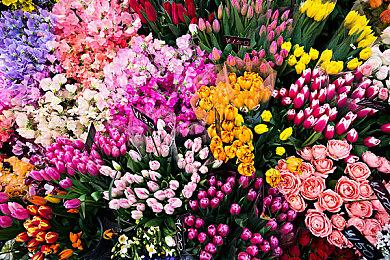 《Argol II - Curse of Nemesis》Steam上线 复古横版ACT